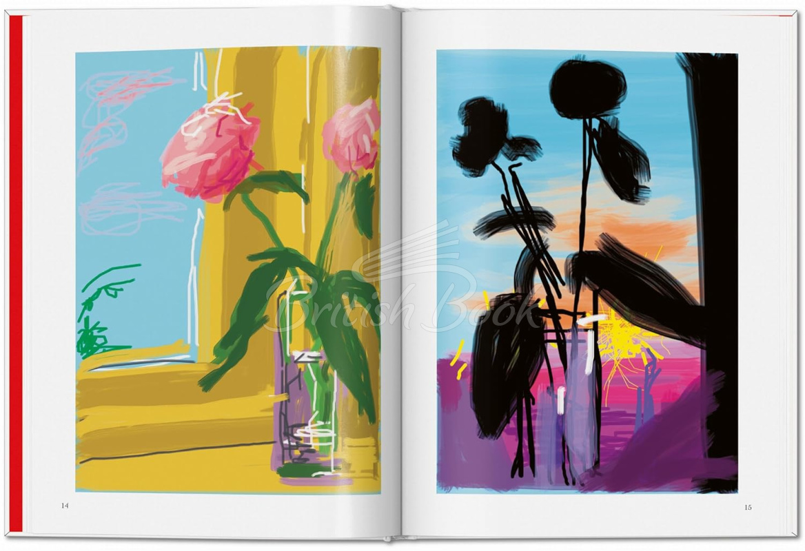 Книга David Hockney: My Window зображення 3