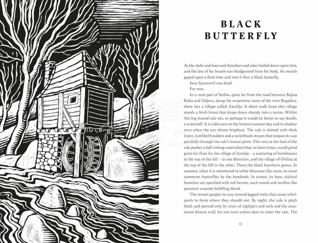 Книга The Slavic Myths изображение 5