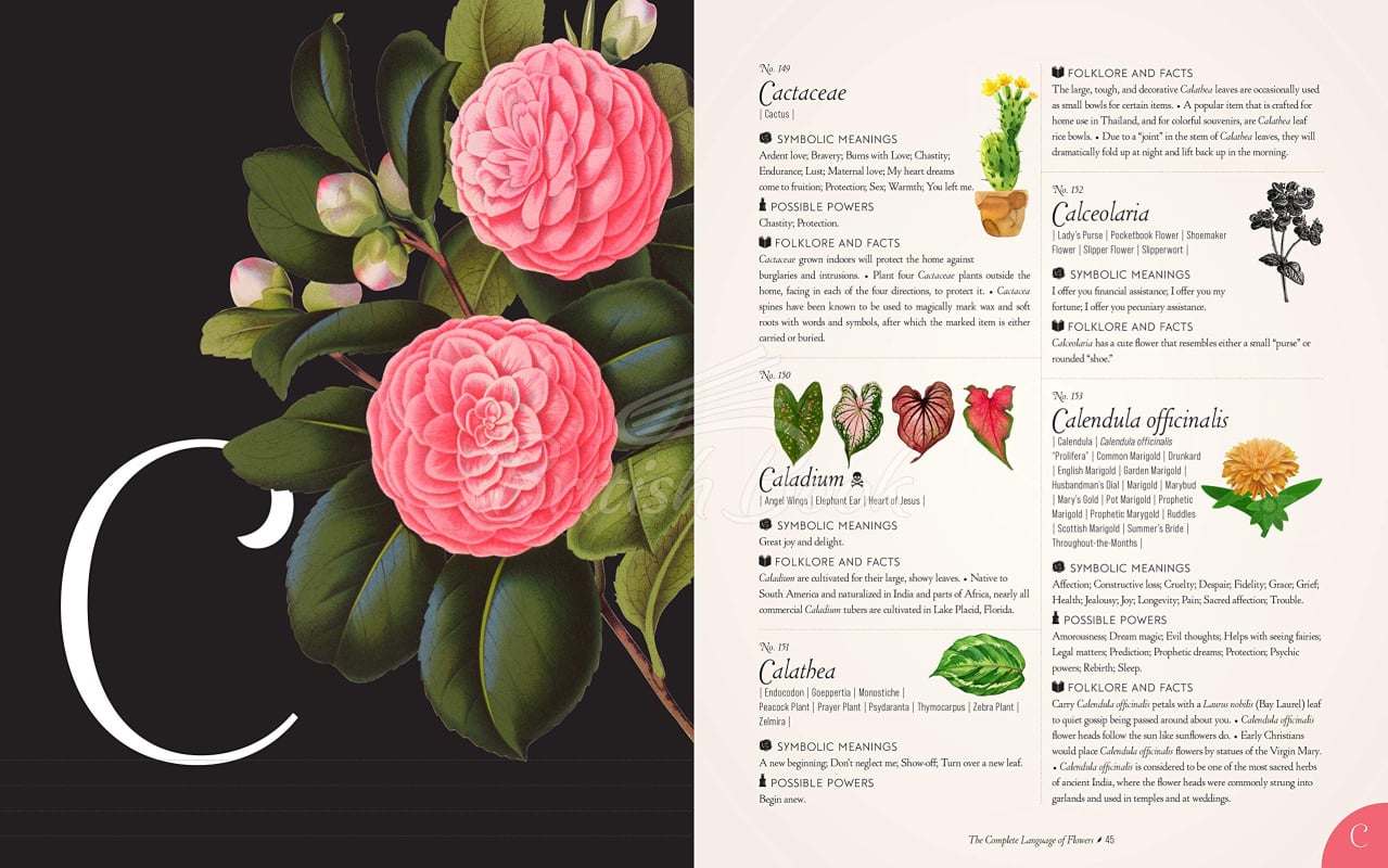 Книга The Complete Language of Flowers зображення 4
