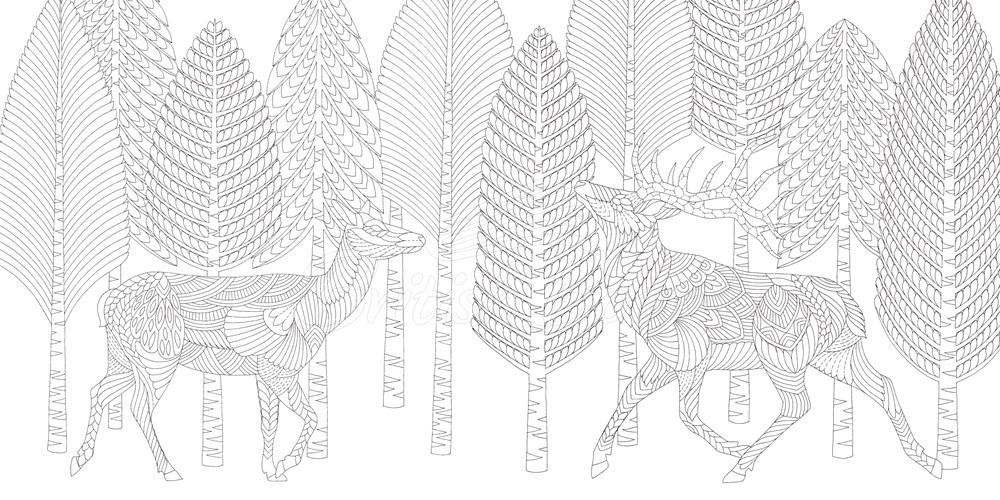 Книга Millie Marotta's Woodland Wild изображение 4