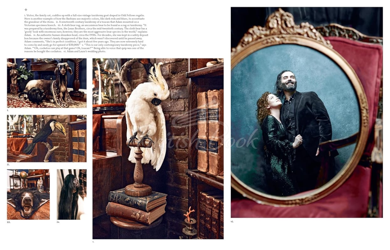 Книга The Art of Gothic Living: Dark Decor for the Modern Macabre зображення 6