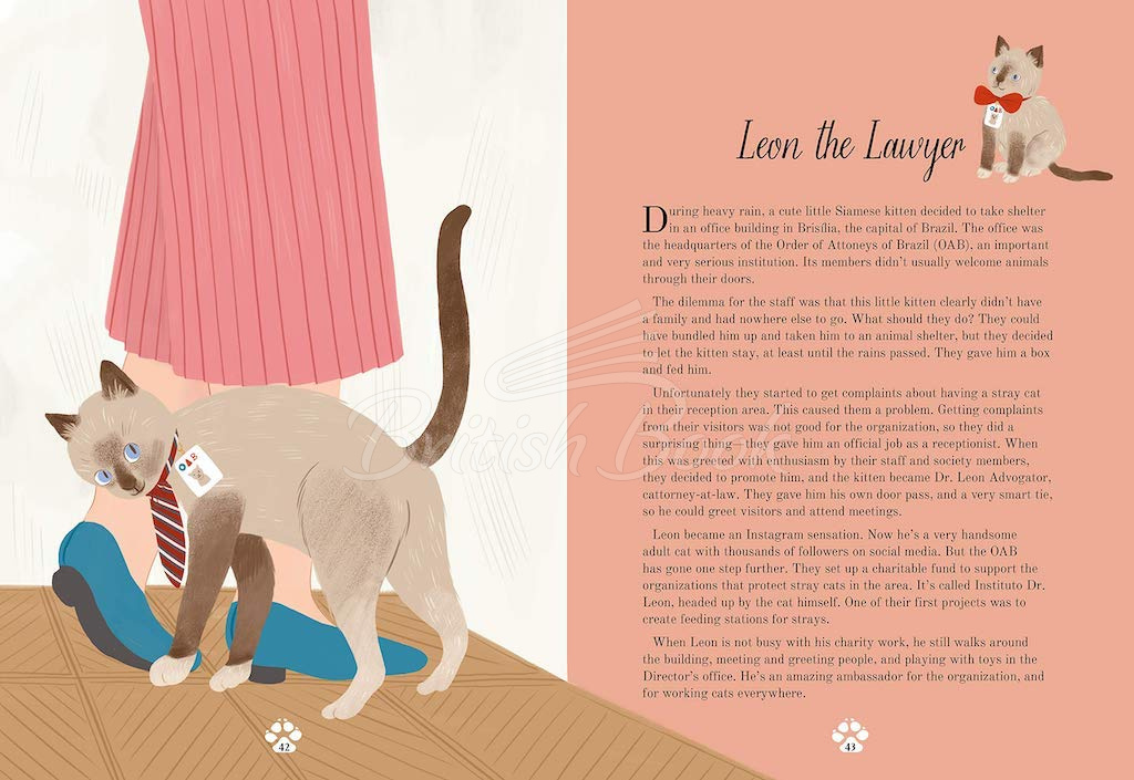 Книга Cat Tales: True Stories of Fantastic Felines зображення 3