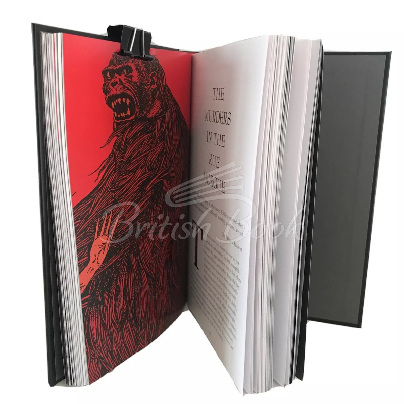Книга Edgar Allan Poe: Illustrated Tales изображение 4