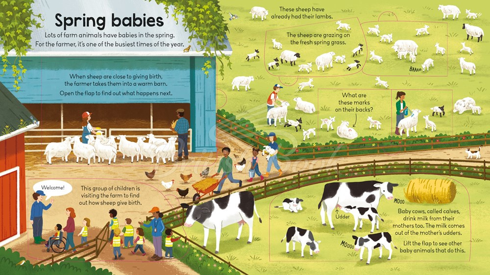 Книга Look inside a Farm зображення 2