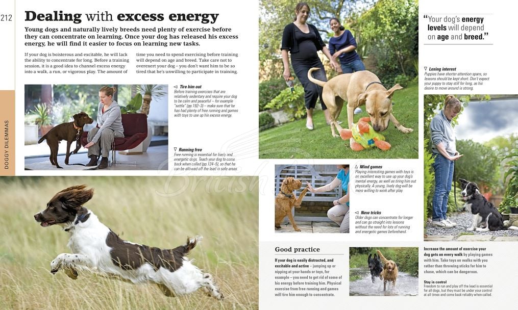 Книга The Beginner's Dog Training Guide зображення 1