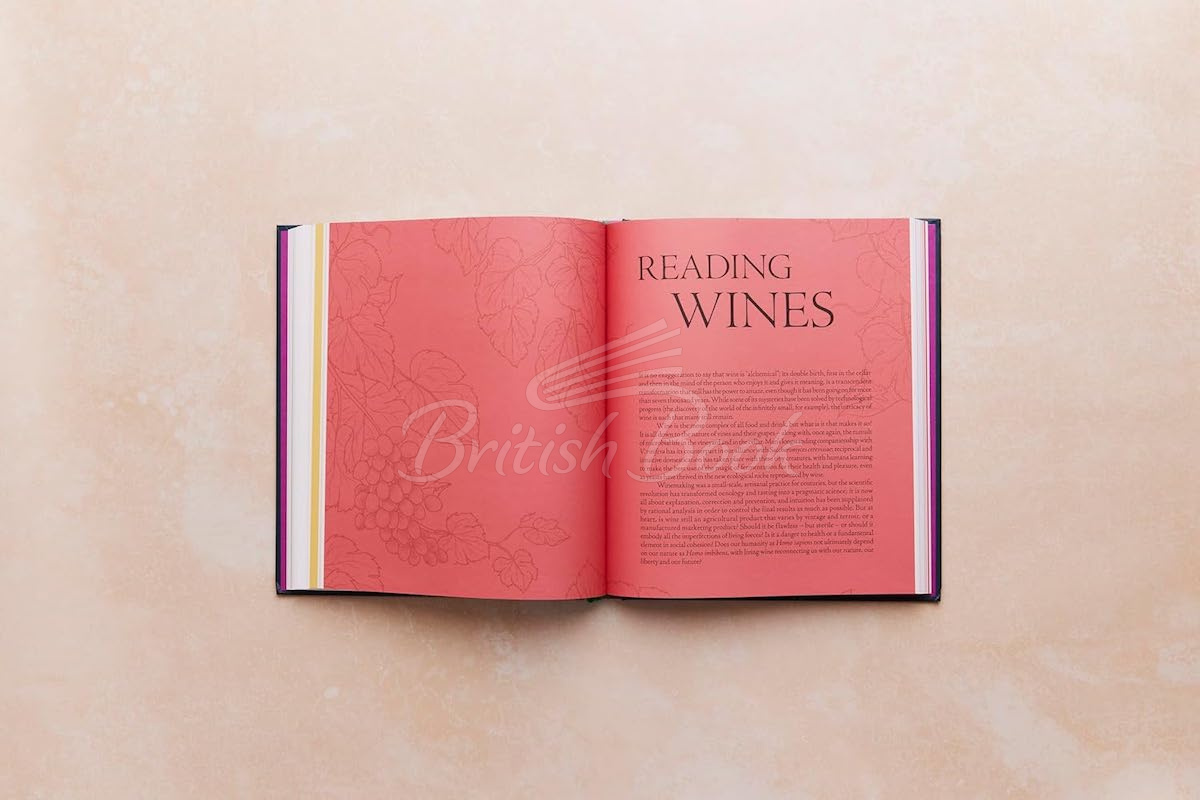 Книга One Thousand Vines: A New Way to Understand Wine изображение 6