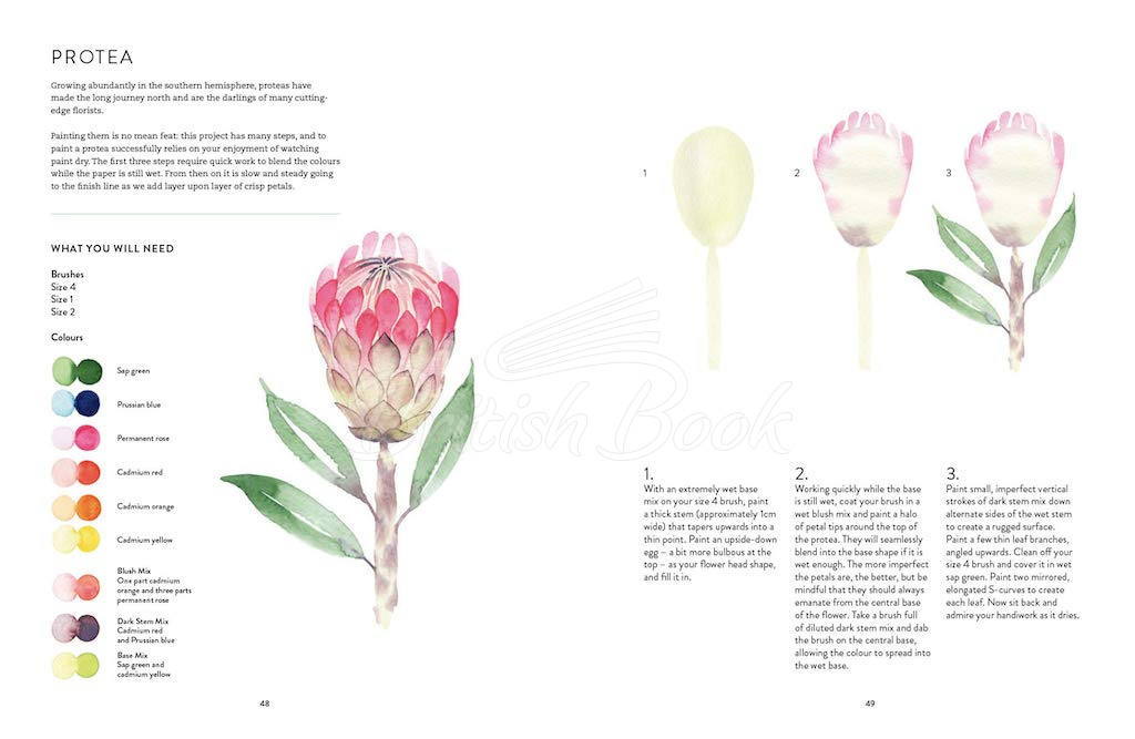 Книга New Botanical Painting зображення 4