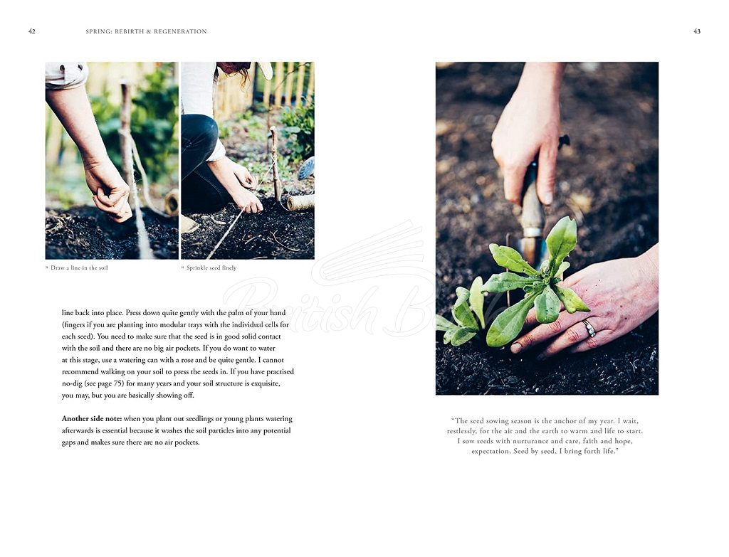 Книга Grow and Gather: A Gardener's Guide to a Year of Cut Flowers зображення 8