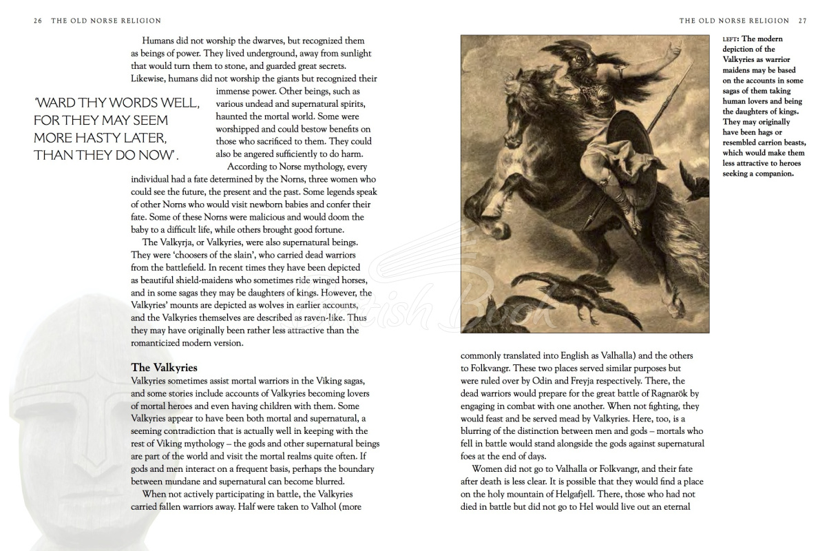 Книга Vikings: A History of the Norse People изображение 2