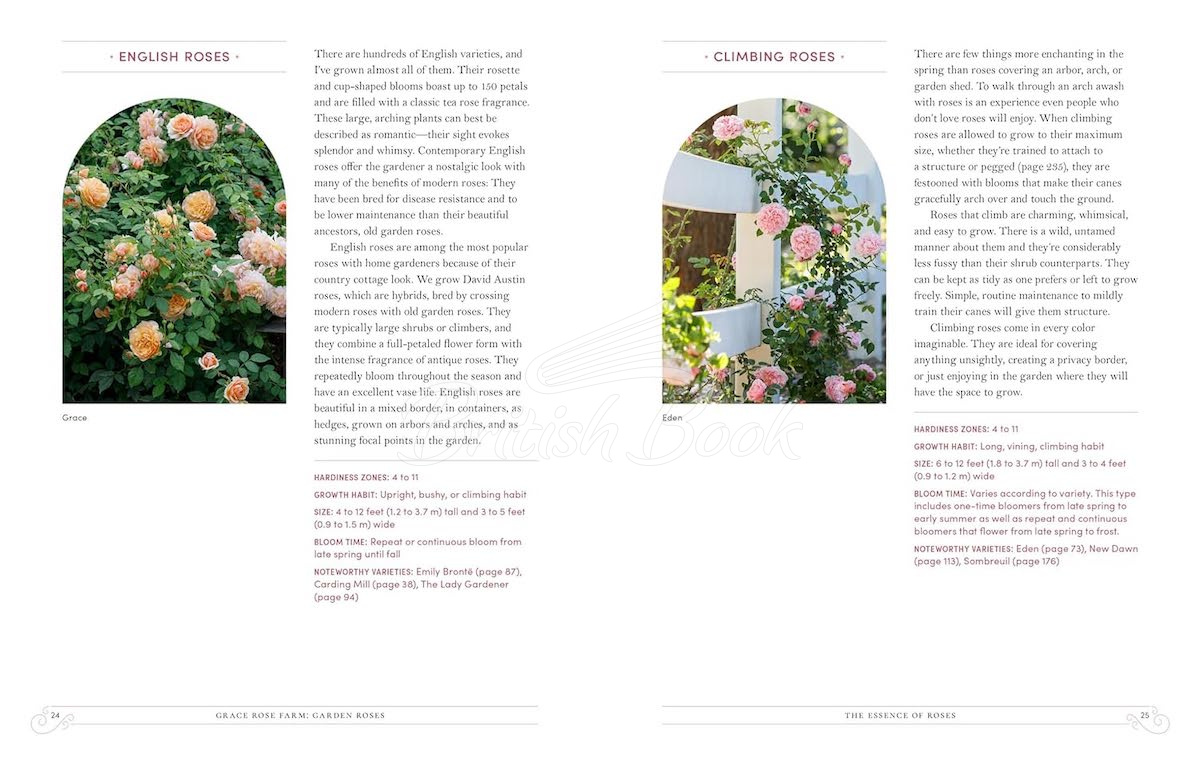 Книга Garden Roses зображення 2