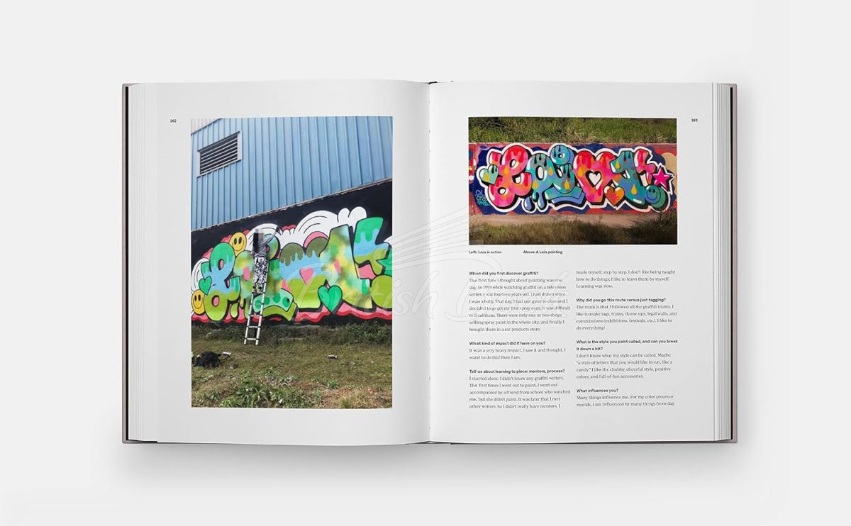 Книга The Wide World of Graffiti изображение 5