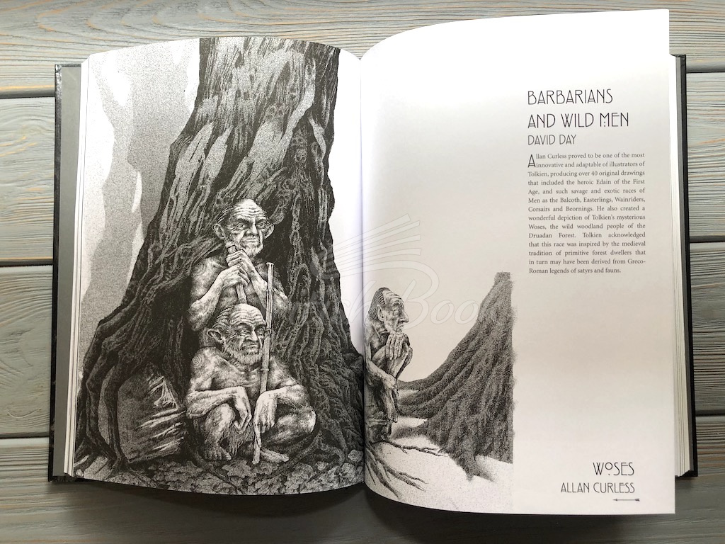 Книга The Illustrated World of Tolkien изображение 7