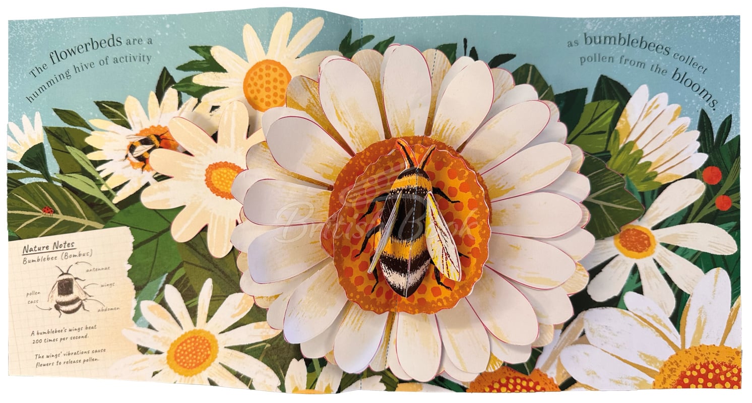 Книга Nature Pop-ups: Minibeasts зображення 1