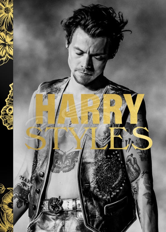 Книга Spotlight on a Legend: Harry Styles зображення