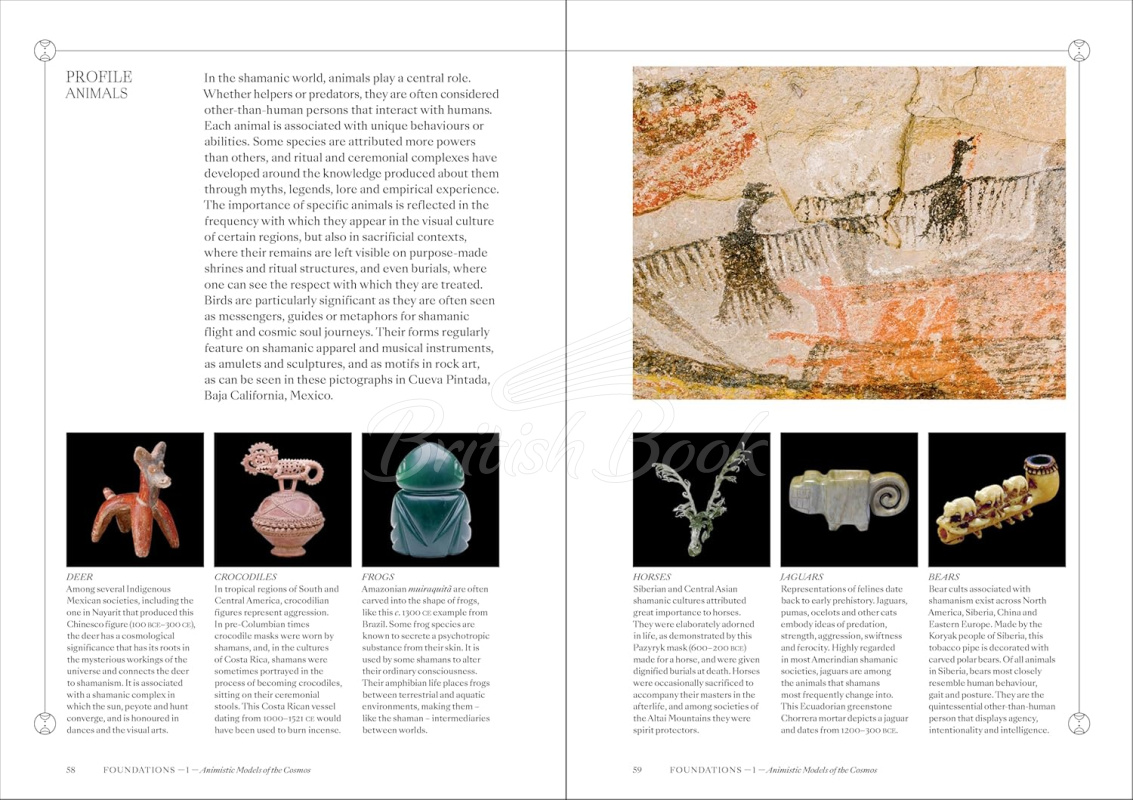 Книга Shamans: The Visual Culture of Animism, Healing and Journeys to Other Planes изображение 7