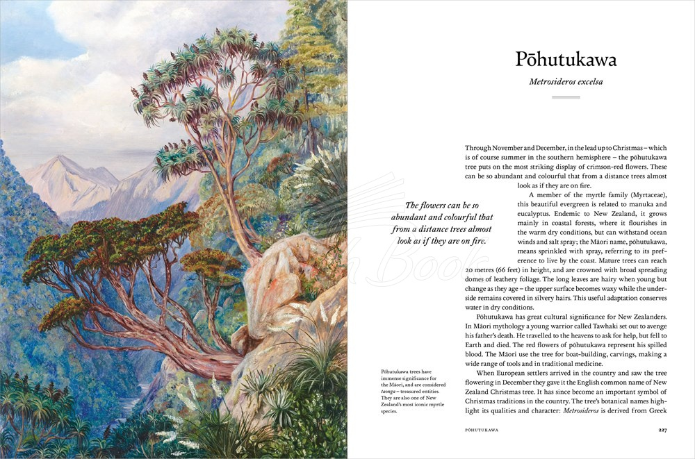 Книга Remarkable Trees изображение 3