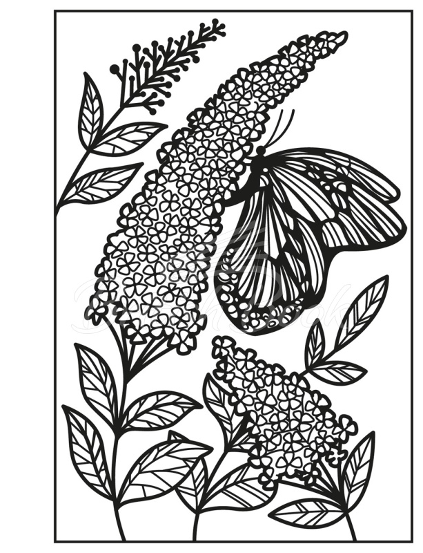 Книга Flowers Magic Painting Book зображення 3