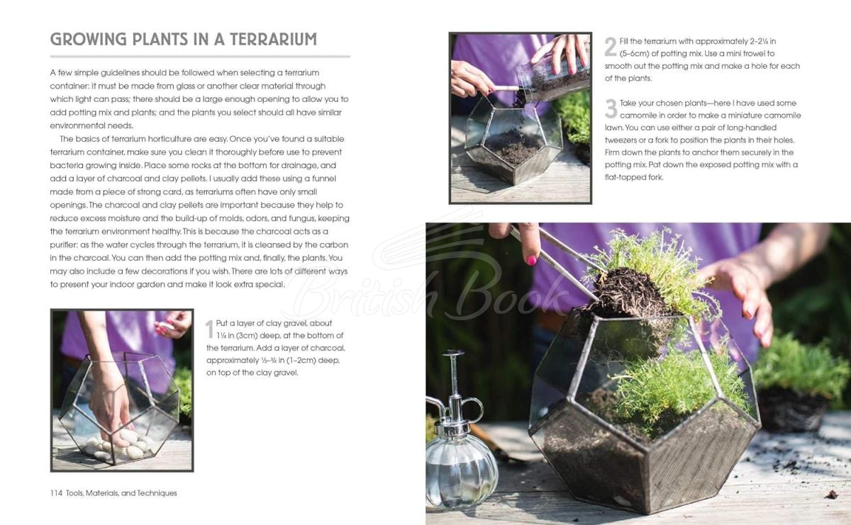 Книга Terrarium Imaginarium: Growing Succulents, Cacti and More under Glass изображение 3