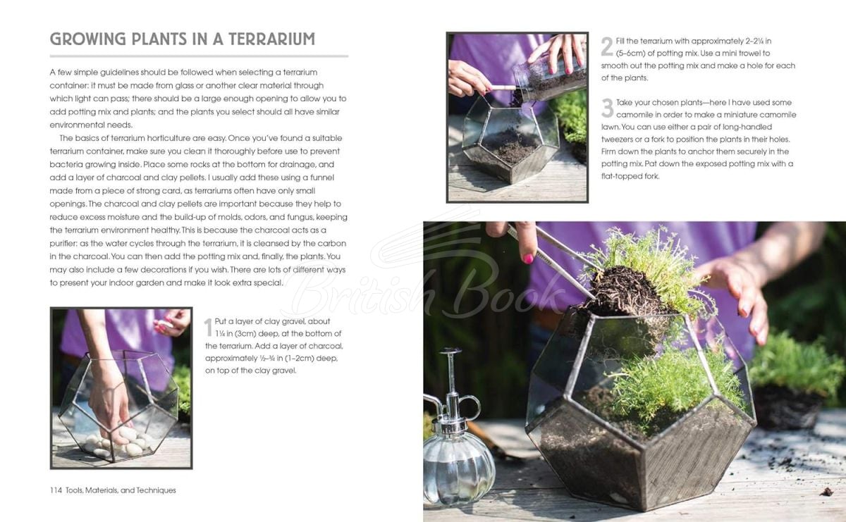 Книга Terrarium Imaginarium: Growing Succulents, Cacti and More under Glass зображення 5
