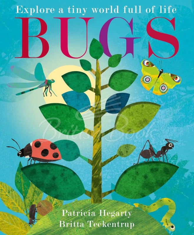 Книга A Peek-Through Introduction to Nature: Bugs изображение