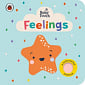 Baby Touch: Feelings (A Touch-and-Feel Playbook)