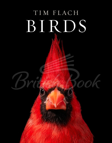 Книга Birds: Photographs изображение