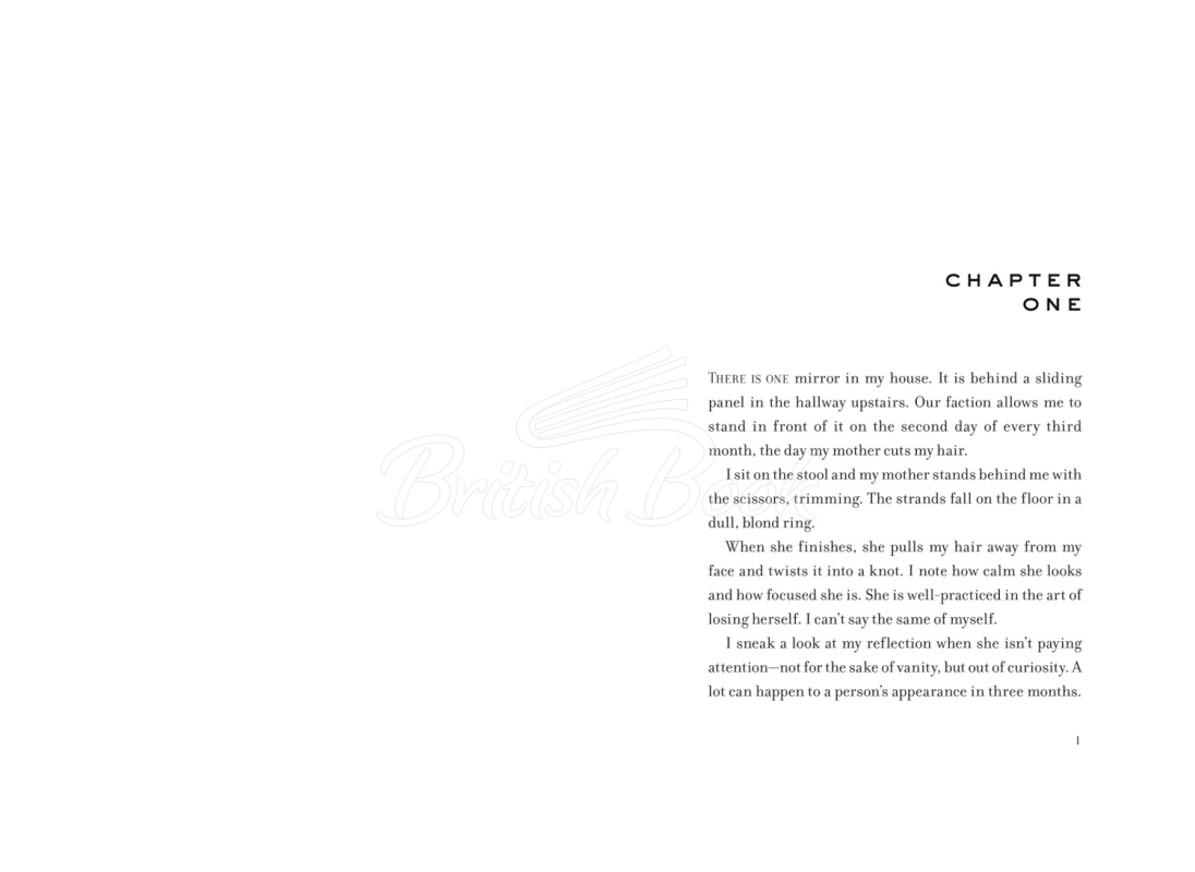 Книга Four (A Divergent Collection) зображення 1