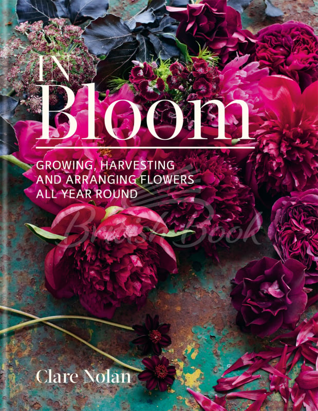 Книга In Bloom изображение