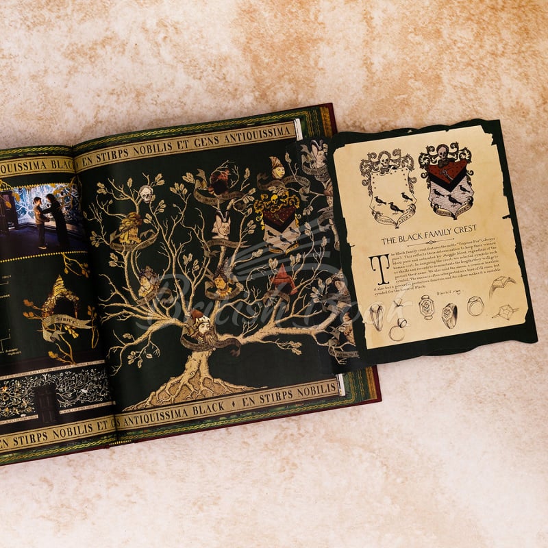 Книга The Magic of MinaLima зображення 5
