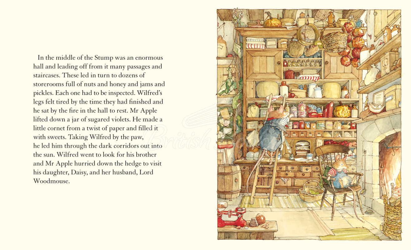 Книга Brambly Hedge: Spring Story зображення 2