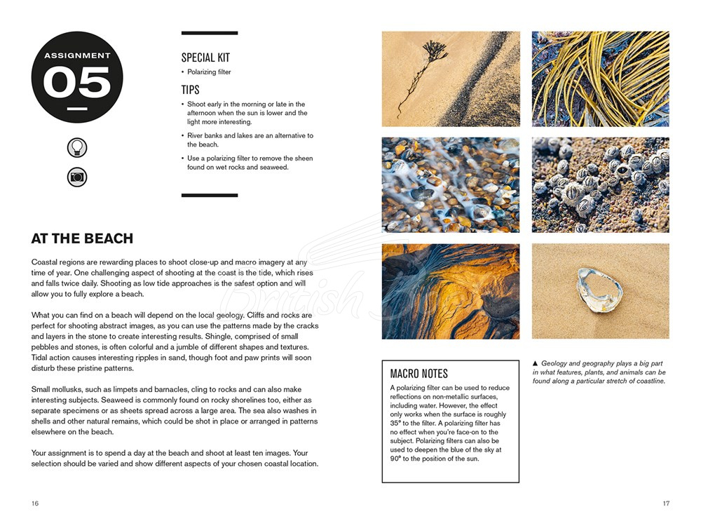 Книга 52 Assignments: Macro Photography зображення 2