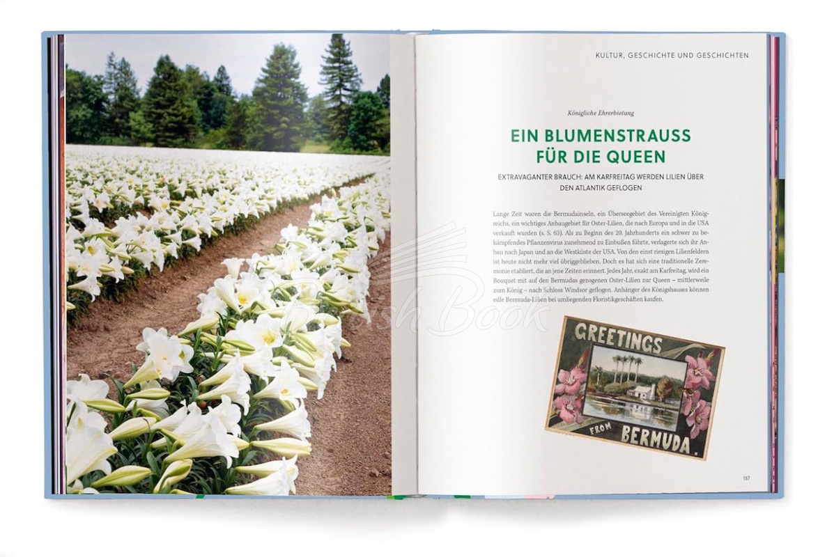 Книга Floramour: Lilies зображення 7