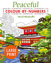 Large Print Peaceful Colour-by-Numbers