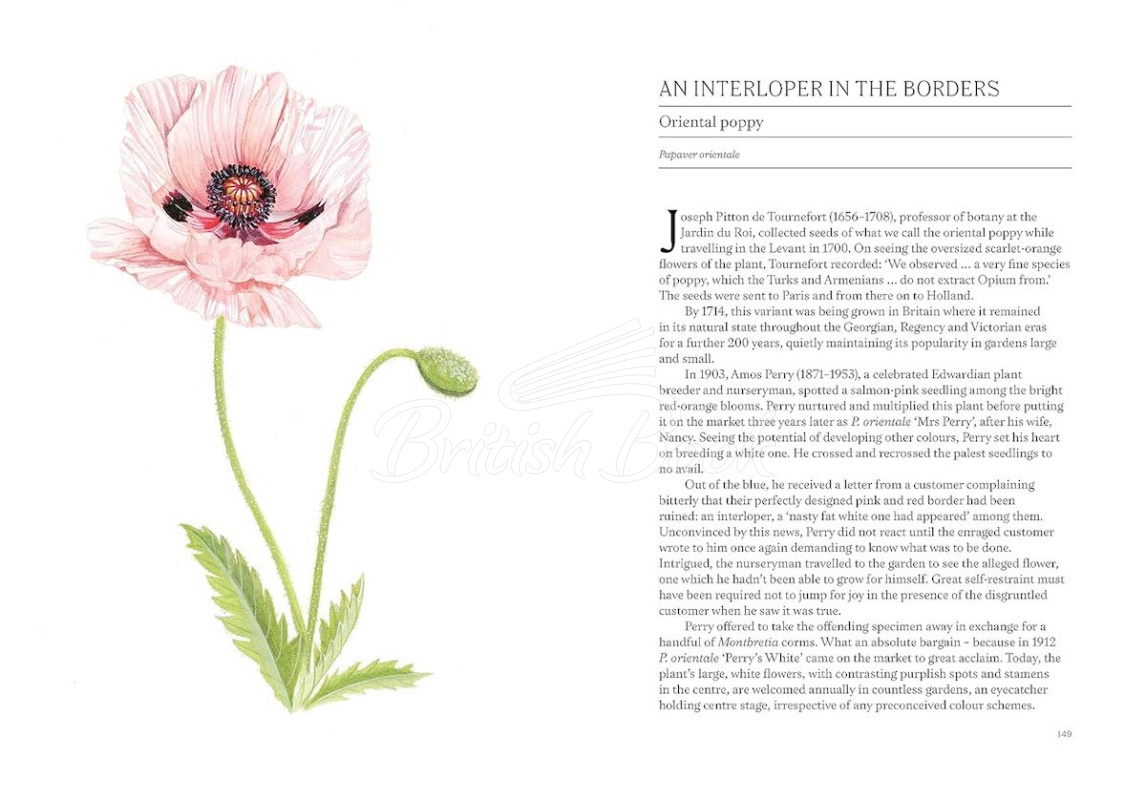 Книга A Short History of Flowers зображення 3