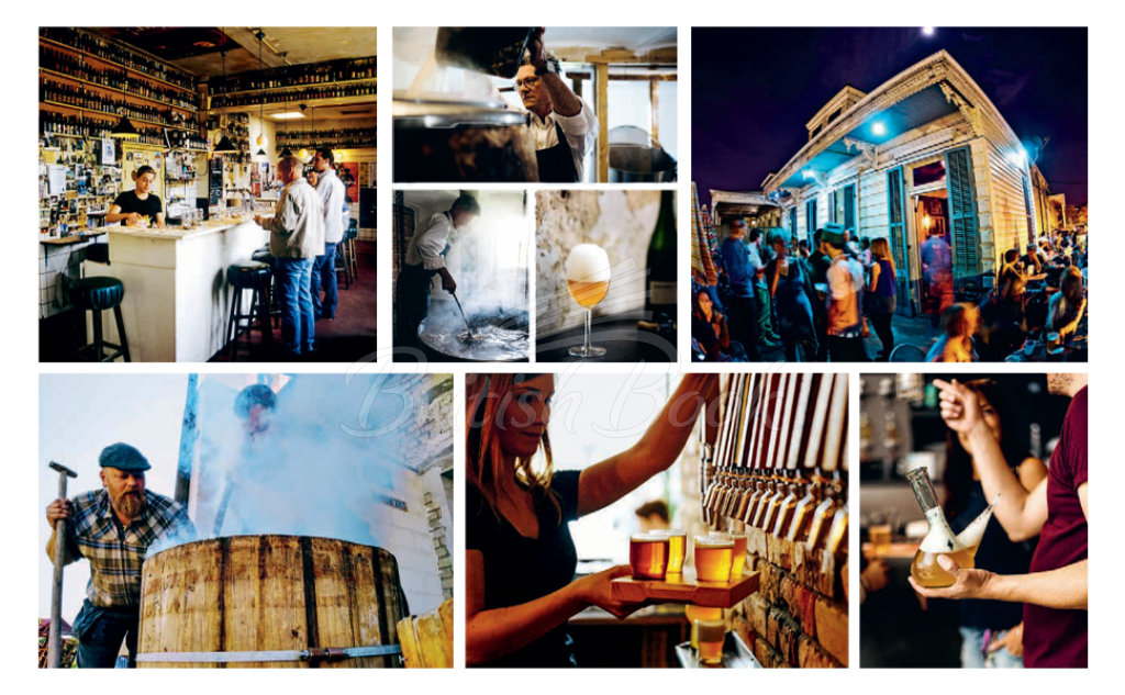 Книга World Atlas of Beer изображение 1