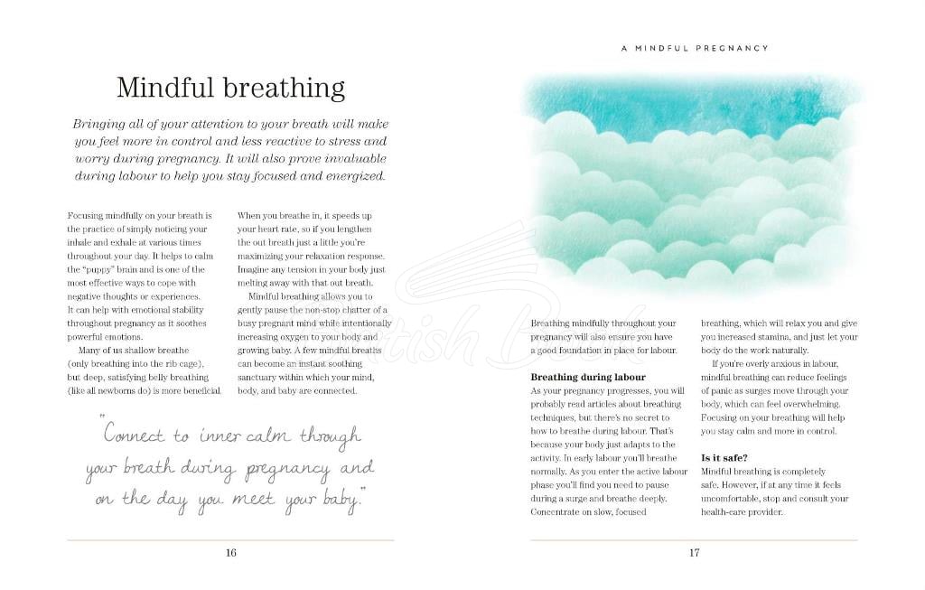 Книга Mindful Pregnancy изображение 1