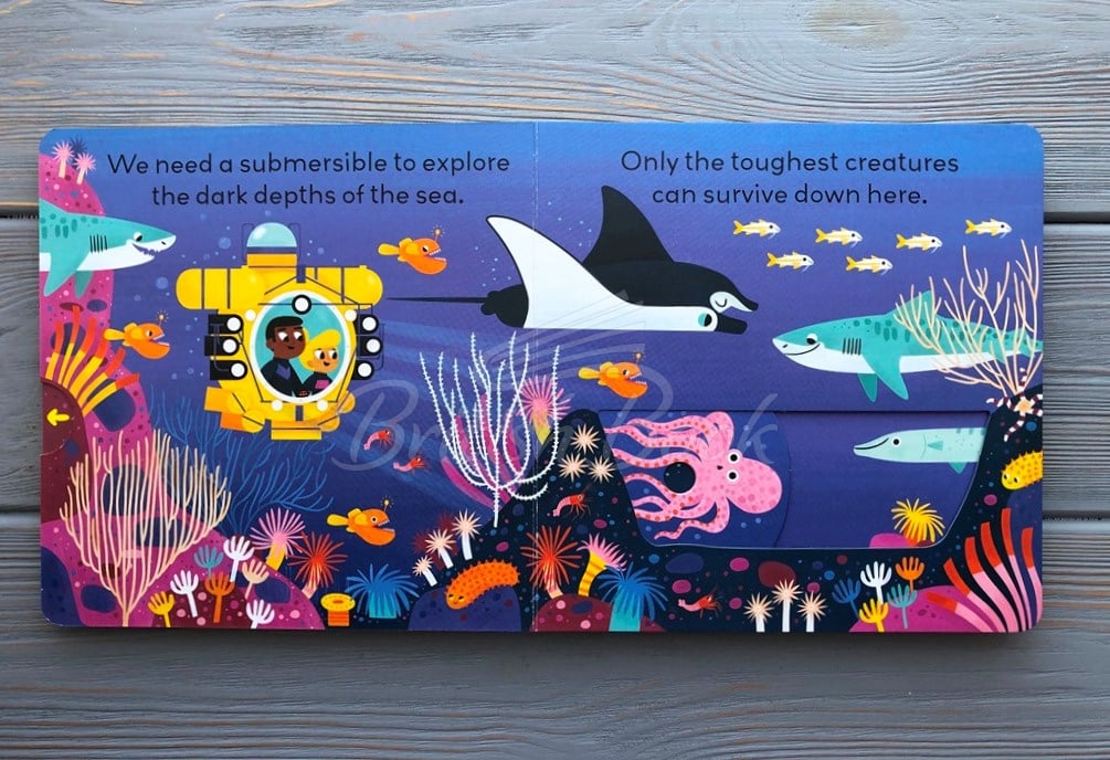 Книга Little World: Under the Sea зображення 3