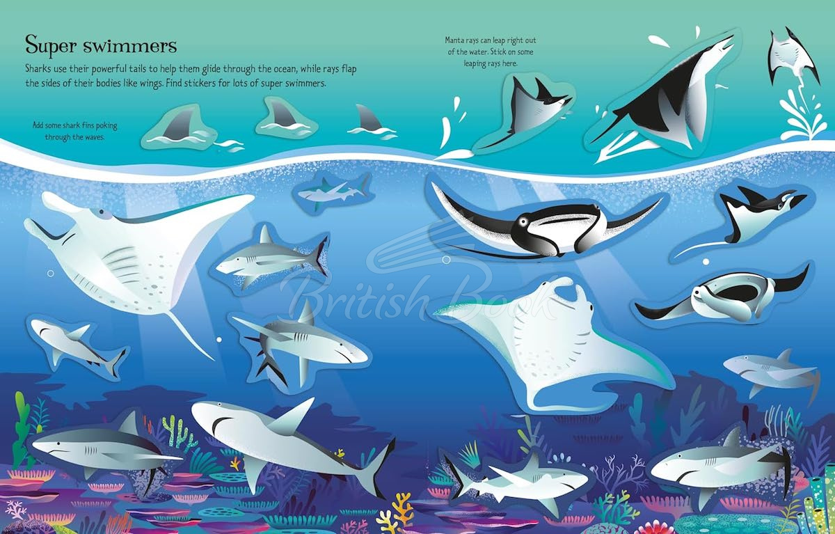 Книга First Sticker Book: Sharks and Rays изображение 6