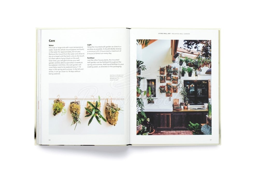 Книга How to Plant a Room and Grow a Happy Home зображення 8