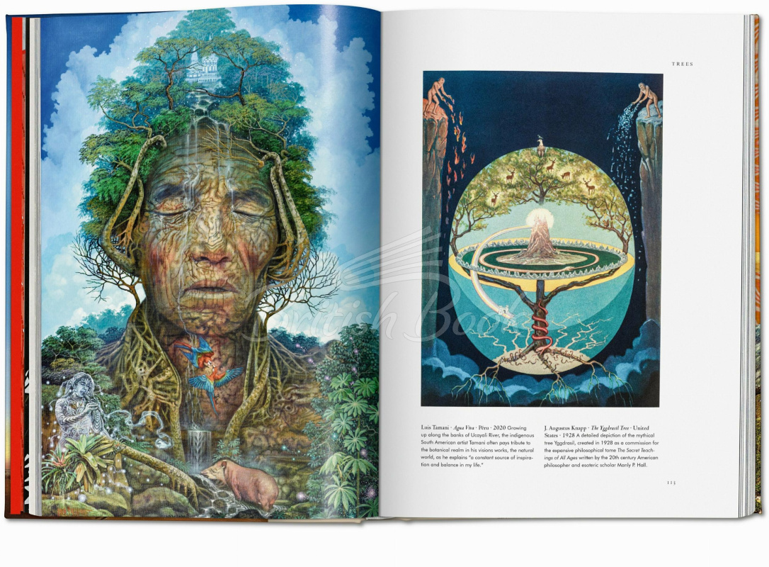Книга Plant Magick. The Library of Esoterica зображення 5