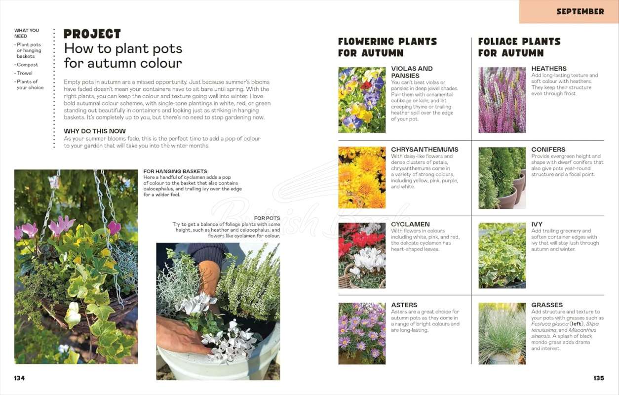 Книга The Easy Garden: Month-by-Month Advice to Improve Your Outside Space зображення 5