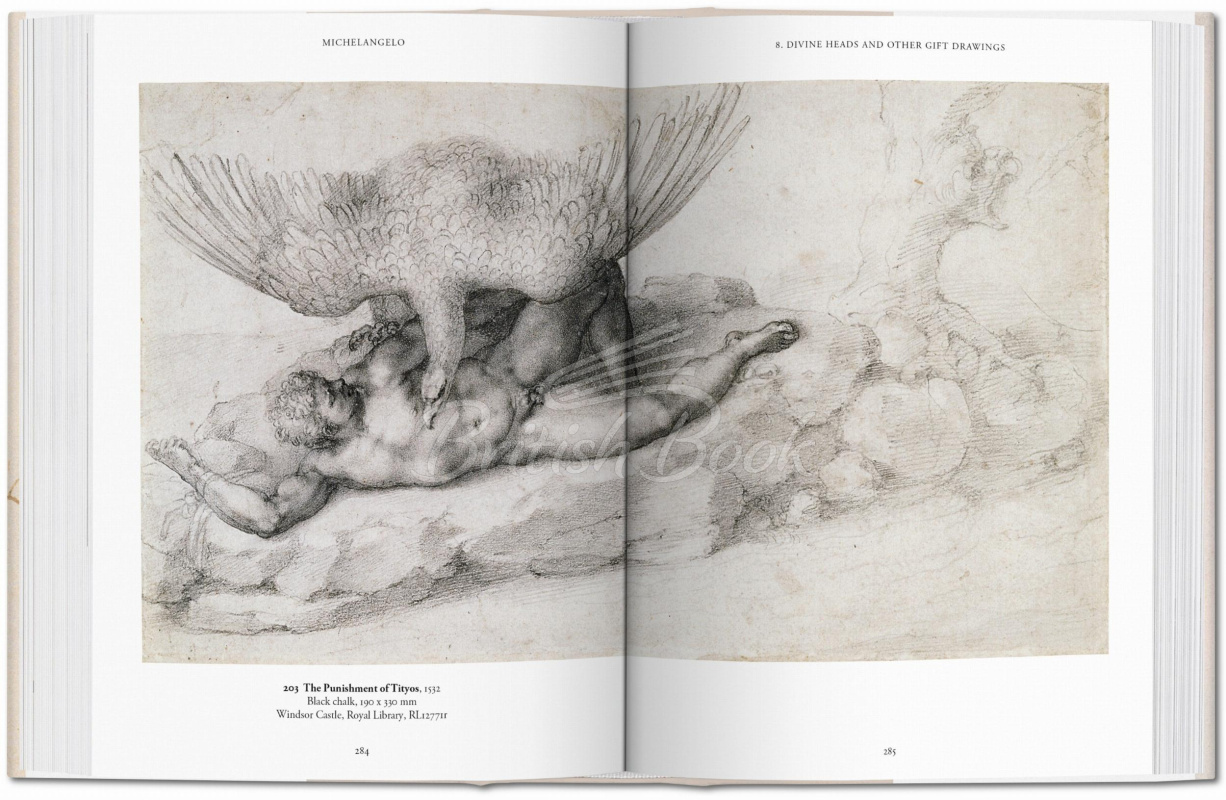 Книга Michelangelo. The Graphic Work зображення 6