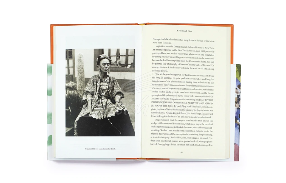 Книга Lives of the Artists: Frida Kahlo изображение 5