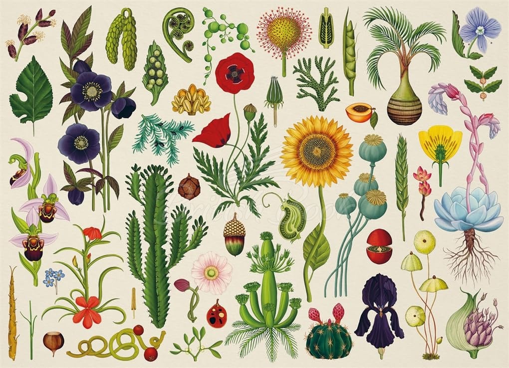 Пазл Welcome to The Museum: Botanicum 1000-Piece Jigsaw Puzzle зображення 1