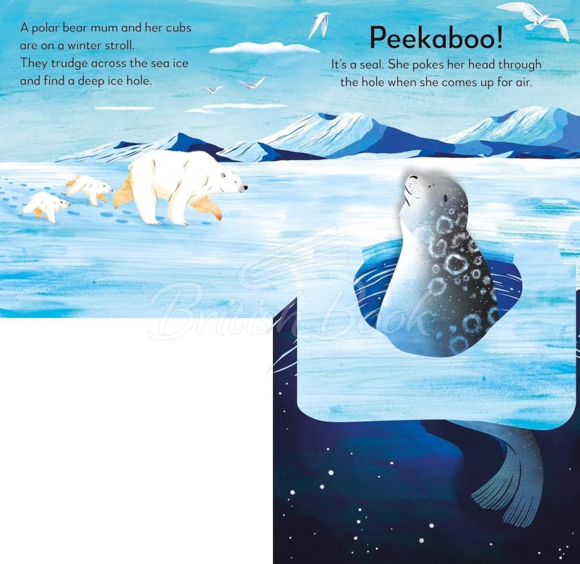 Книга Pop-Up Peekaboo! Winter зображення 3