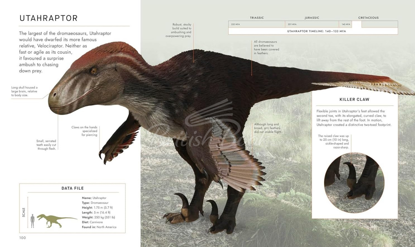 Книга BBC Walking With Dinosaurs зображення 4