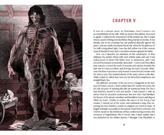 Книга Frankenstein (Deluxe Edition) зображення 5
