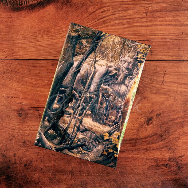 Набір книжок The Hobbit and The Lord of the Rings Boxed Set (Illustrated Edition) зображення 5