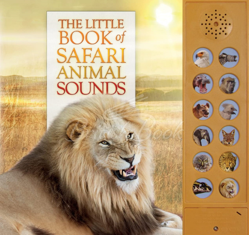 Книга The Little Book of Safari Animal Sounds изображение