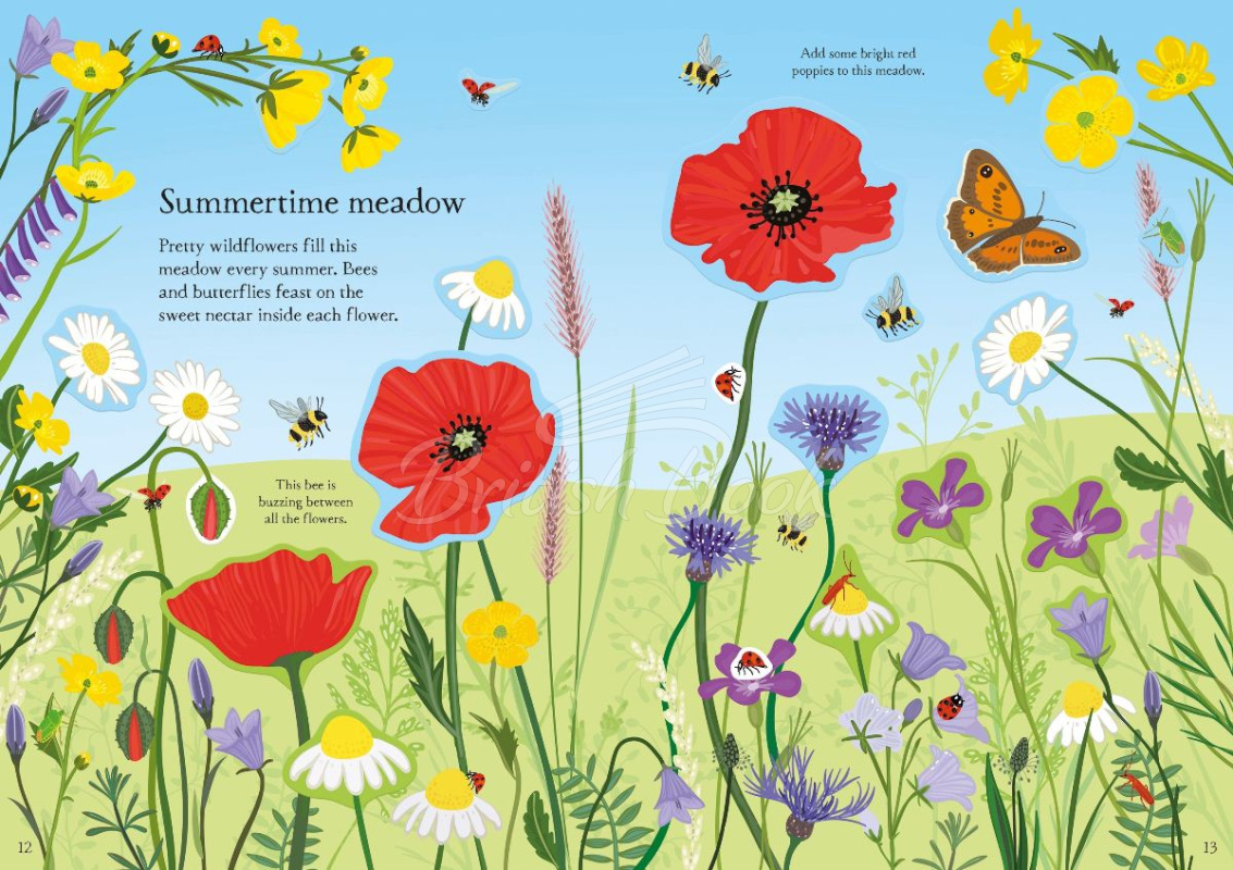 Книга Little First Stickers: Wildflowers изображение 2